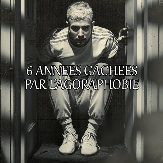 Dans cet article de blog, je vous développe les 6 années que j'ai vécu au cœur d'une phobie sociale très handicapante : l'agoraphobie.