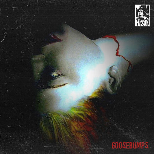 nizuk, goosebumps, beat for sale, instru rap, hiphop, 90's boom bap beats, 